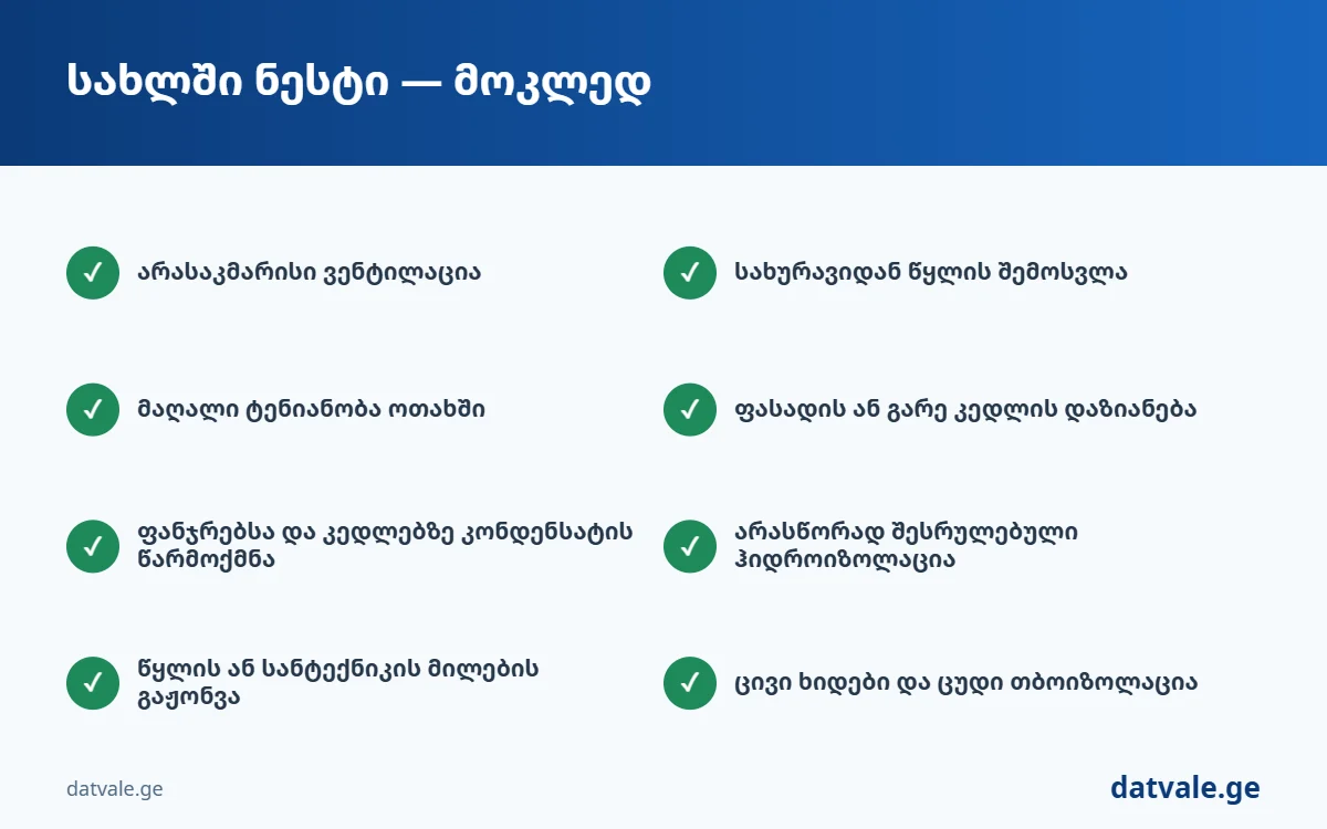 სახლში ნესტი — მოკლე ჩამონათვალი