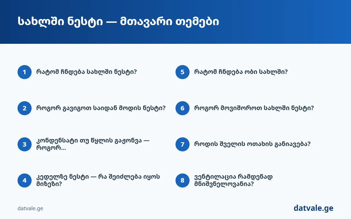 სახლში ნესტი — სტატიის მთავარი თემები